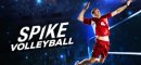 Купить Spike Volleyball