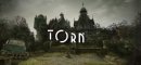 Купить Torn