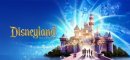 Купить Disneyland Adventures